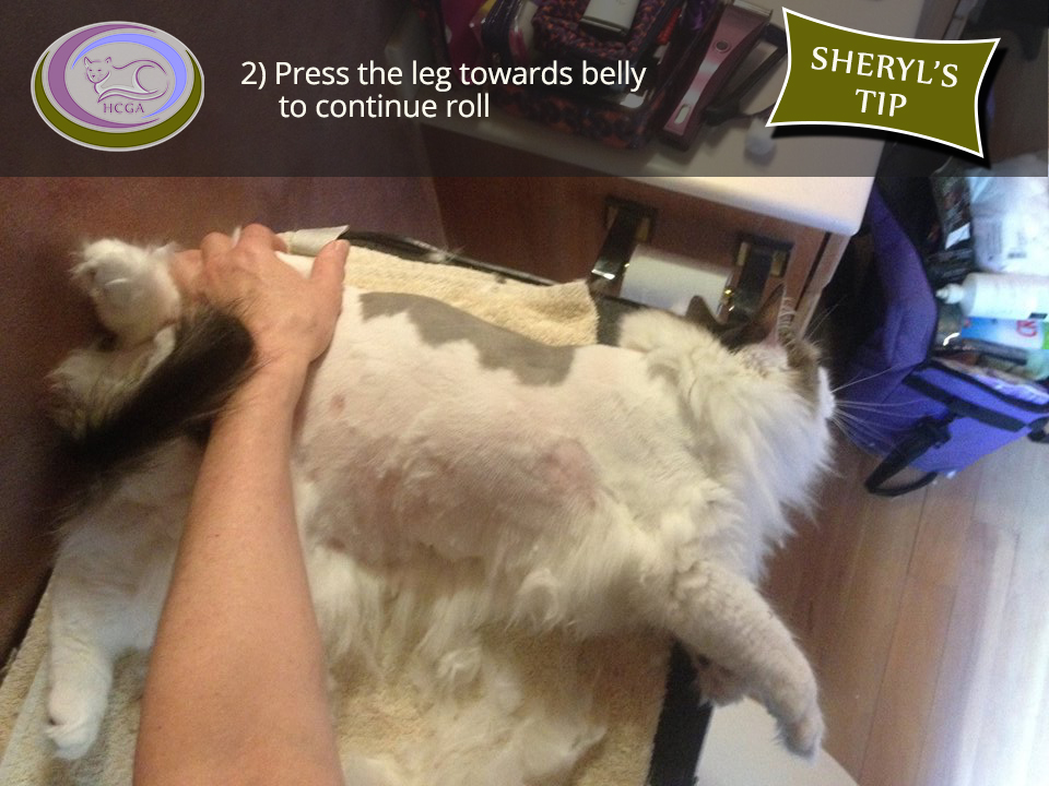 2) Press the leg towards belly to continue roll