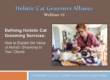 HCGA Webinar 2: Defining Holistic Cat Grooming Services